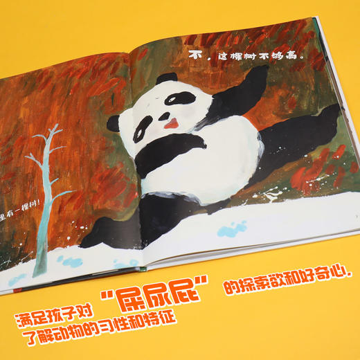 熊猫要找一棵树 商品图1