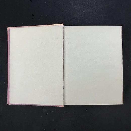 约19世纪后期 狄更斯《小多丽特/博兹札记》 92幅插图（含套色版画） 皮装16开 商品图2