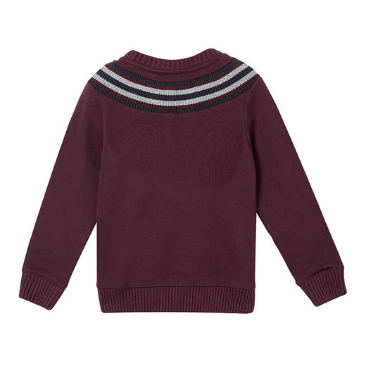 Champion/冠军卫衣童装春秋 运动针织套头衫儿童304999 商品图6