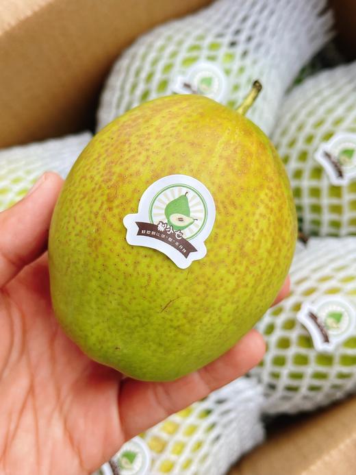 【甘肃疆山蜜梨】约4.5斤/箱，皮薄、脆甜多汁 商品图1