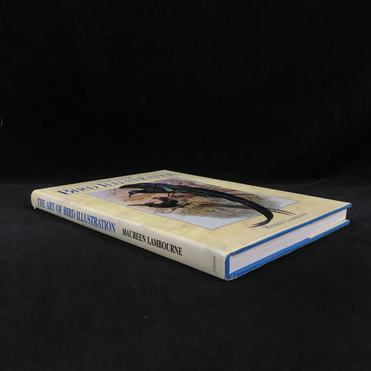 鸟类插画艺术图集 百余幅彩色插图 精装大16开 商品图1