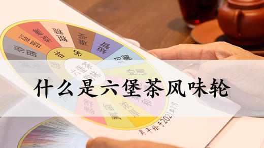 1. 什么是六堡茶风味轮？ 商品图0