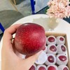 苹果中的“翡冷翠黑珍珠”  | 大卫果3KG 可做早餐的苹果[福利品] 商品缩略图0