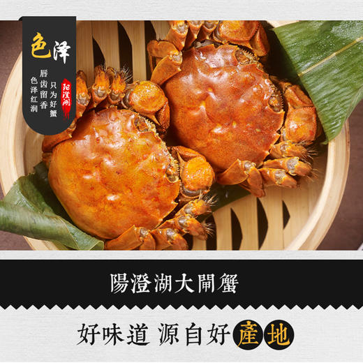 阳澄湖大闸蟹，基地直发，秋季开湖后发货【顺丰到家，死蟹包赔】 商品图7