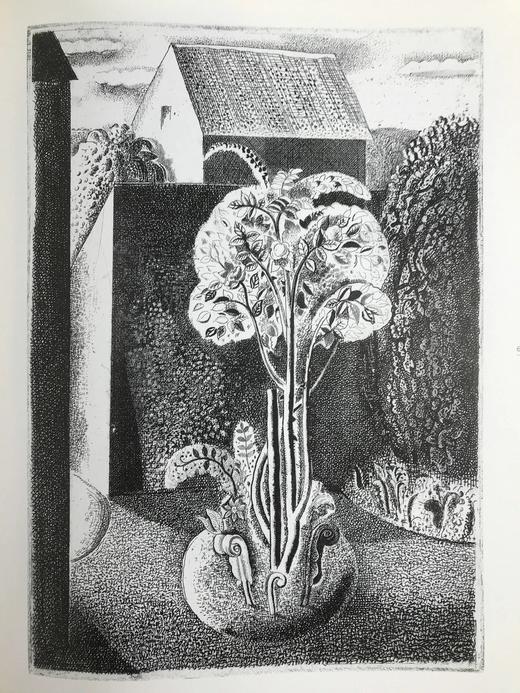 二十世纪的印象派 118幅彩色插图 精装16开 商品图13