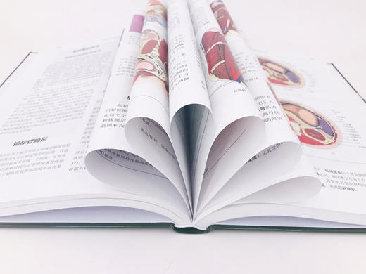 辛曼泌尿外科解剖图谱 原著第二版 商品图4