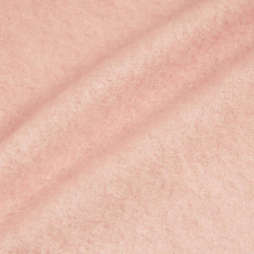 Champion/冠军卫衣男女童 logo棉质运动连帽套头衫现货 403755 商品图8