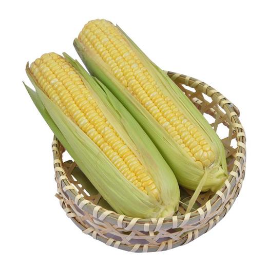 黄玉米 约600g/份（普通玉米） 商品图0