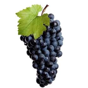 夏黑葡萄500g
