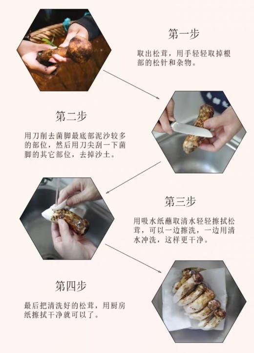 云南松茸 商品图3