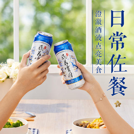 风花雪月诗悦罐500ml*12罐 云南国风之选 商品图2