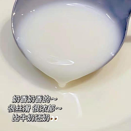 【满两件减5元 | 摩菲水牛纯牛奶】每盒含7.6g原生蛋白质 奶质丝滑浓郁 口感细腻香醇 商品图0