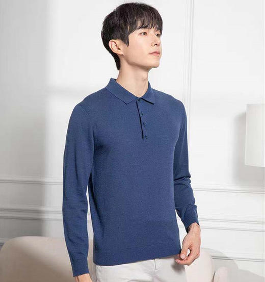 6F Callisto 卡利斯特 毛衫（new） 商品图0