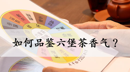 3. 如何品鉴六堡茶香气？ 商品图0