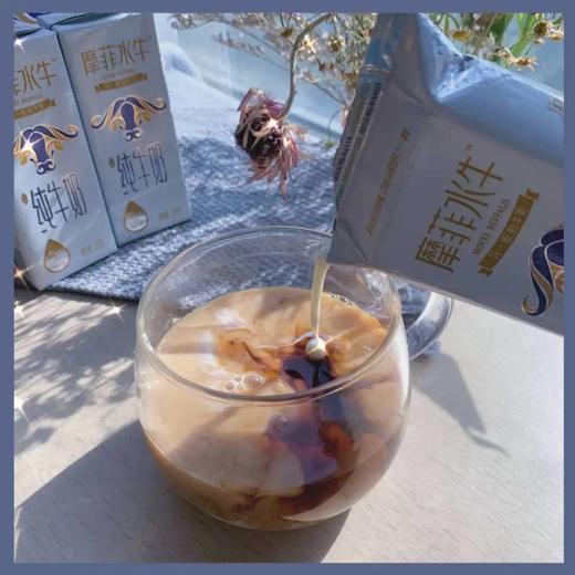 【满两件减5元 | 摩菲水牛纯牛奶】每盒含7.6g原生蛋白质 奶质丝滑浓郁 口感细腻香醇 商品图9