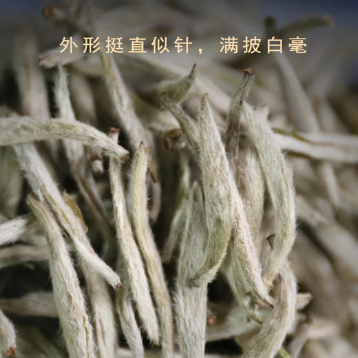 白茶 | 中雄御品 2021年白毫银针 50g 商品图1
