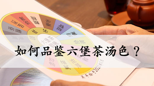 2. 如何品鉴六堡茶汤色？ 商品图0