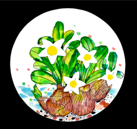 4--6岁综合创意《凌波仙子—水仙花》【自动发货：下单后，点击手机短信中收到的链接，即可获取文件下载的链接；如有任何问题，可添加客服微信hm33268获得帮助】
