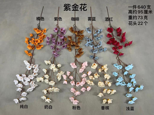 紫金花【运费自理】 商品图0