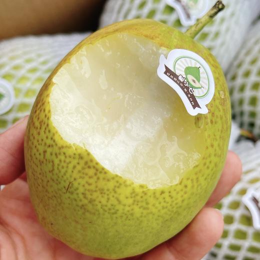 【甘肃疆山蜜梨】约4.5斤/箱，皮薄、脆甜多汁 商品图0