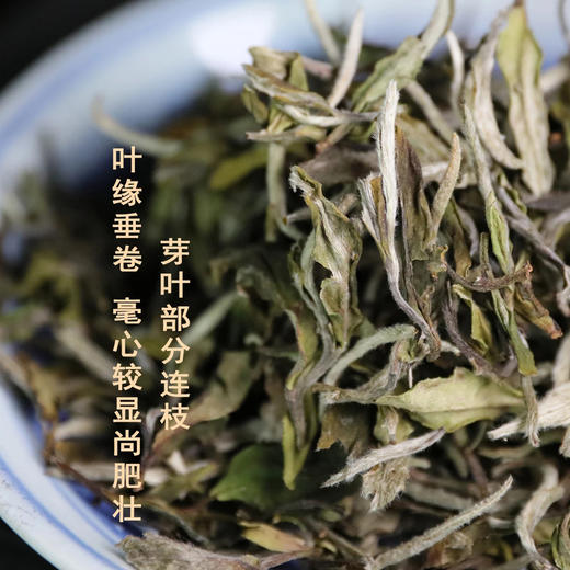 白茶 | 中雄御品 2021年白牡丹 50g 商品图1