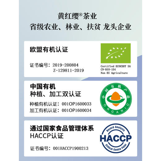 黄红缨·润物琅采瓮安黄金芽 商品图3