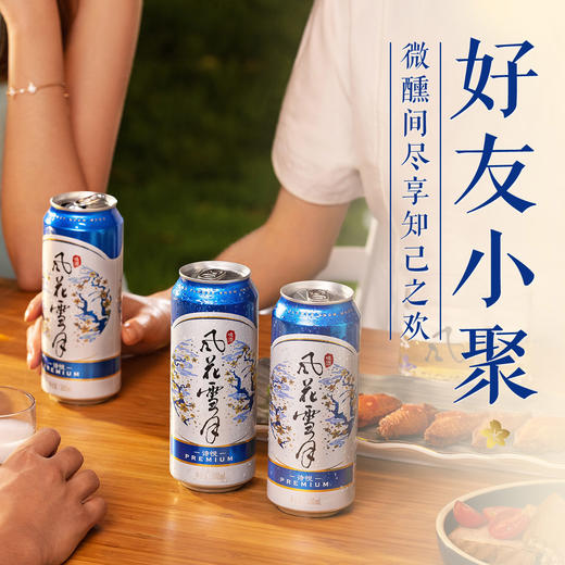 风花雪月诗悦罐500ml*12罐 云南国风之选 商品图4