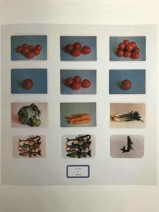 二十世纪的印象派 118幅彩色插图 精装16开 商品图7