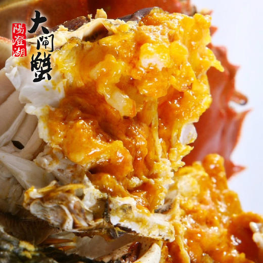 阳澄湖大闸蟹，基地直发，秋季开湖后发货【顺丰到家，死蟹包赔】 商品图2