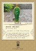 【御珠宫坊·传承系列】金镶碧玉观音吊坠 商品缩略图4