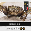 阳澄湖大闸蟹，基地直发，秋季开湖后发货【顺丰到家，死蟹包赔】 商品缩略图4