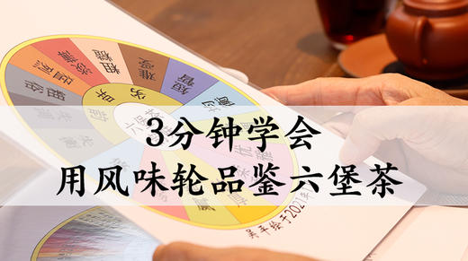 7. 实战：3分钟学会用风味轮品鉴六堡茶 商品图0