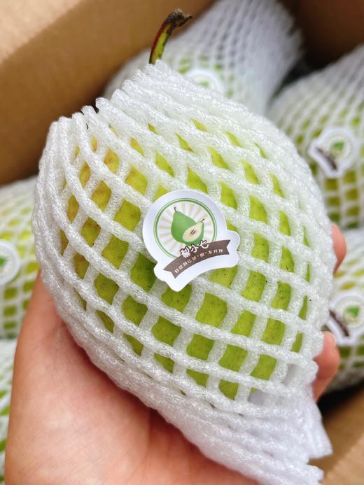 【甘肃疆山蜜梨】约4.5斤/箱，皮薄、脆甜多汁 商品图3