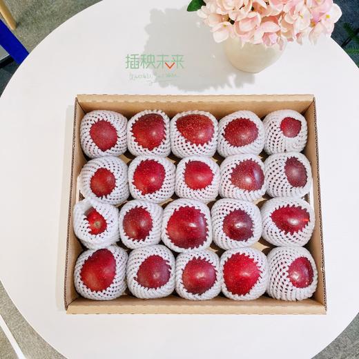 苹果中的“翡冷翠黑珍珠”  | 大卫果3KG 可做早餐的苹果[福利品] 商品图1