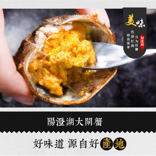 阳澄湖大闸蟹，基地直发，秋季开湖后发货【顺丰到家，死蟹包赔】 商品图6