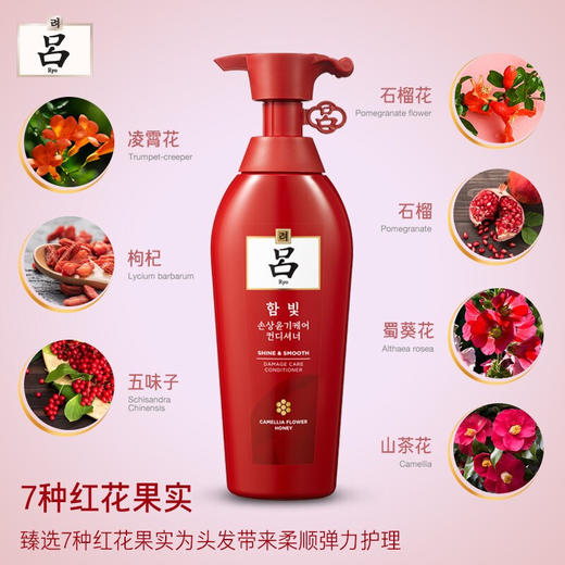 吕(Ryo)含光耀护营润修护护发乳400ml 红吕护发乳 商品图3