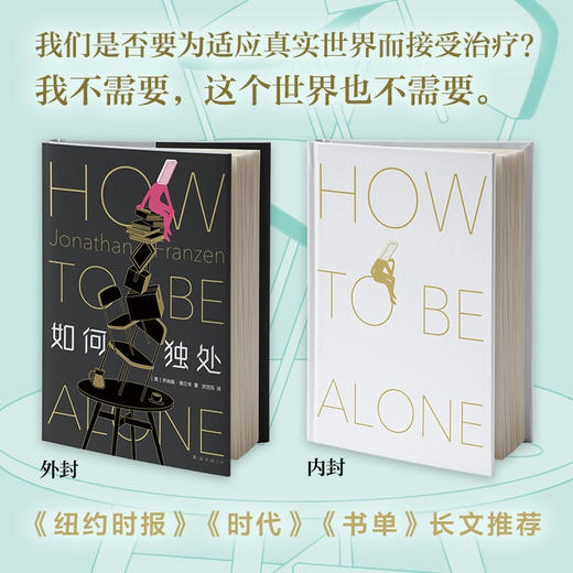 如何独处 乔纳森 弗兰岑 著 2021精装典藏版 外国文学随笔集 一部叩问时代 反思自我的智识之作 《自由》作者 商品图2