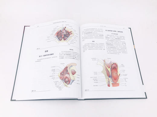 辛曼泌尿外科解剖图谱 原著第二版 商品图2