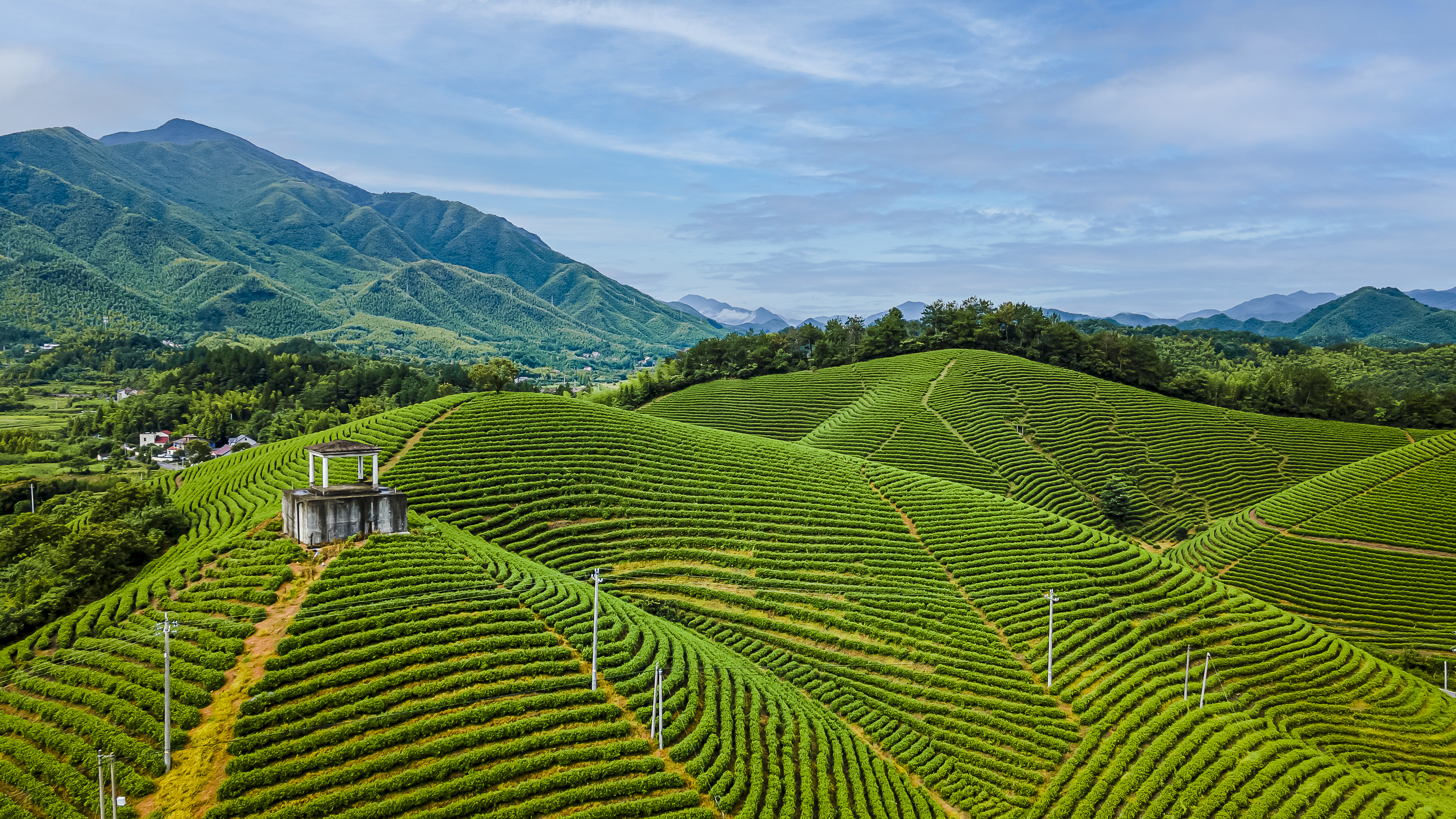 四面环山坐拥茶园,新中式设计枕风景而眠!周末不加价,有效期至12/29