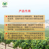 好美滋 含氨基酸水溶肥料  促进葡萄花芽分化、提升座果率和果实发育 商品缩略图3