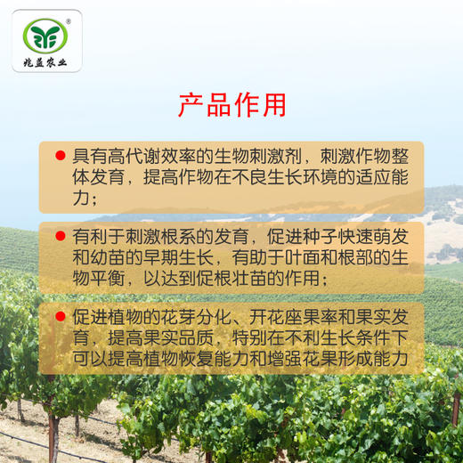 好美滋 含氨基酸水溶肥料  促进葡萄花芽分化、提升座果率和果实发育 商品图3