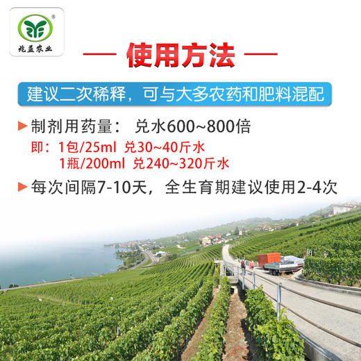 好美滋 含氨基酸水溶肥料  促进葡萄花芽分化、提升座果率和果实发育 商品图2