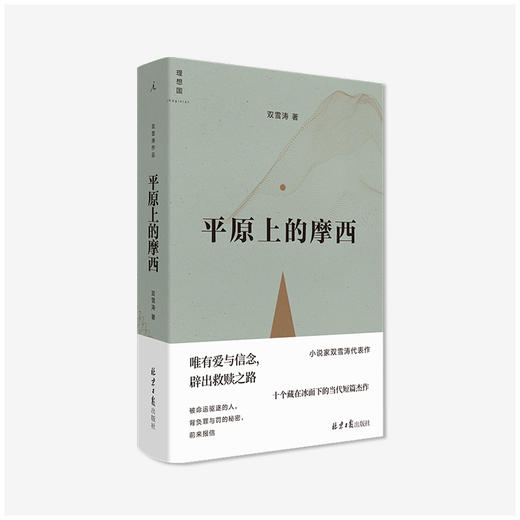 《平原上的摩西》 双雪涛 著 全新典藏版 商品图0