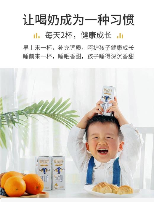 摩菲水牛纯牛奶｜拒绝奶腥味 来自云南苍山洱海 自然纯净 珍贵奶源 口感顺滑、细腻、香醇 甘甜不腻 早晚一杯 给家人补充营yang 让孩子养成喝奶习惯 商品图5