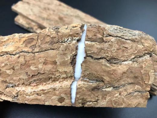 杜仲300g 去粗皮 拉丝杜仲 老树 厚皮 深山林杜仲树皮 商品图1