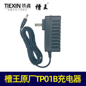 【货号01146】槽王原厂TP01B/12v充电器，槽王充电器。