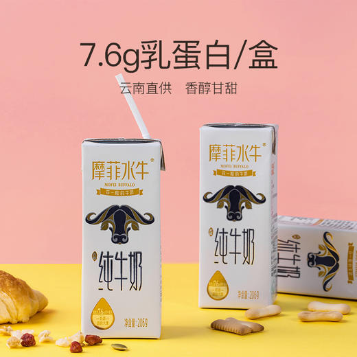 【水牛奶】来思尔摩菲水牛奶全脂/低脂纯牛奶200ml*10 商品图2