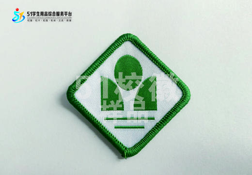 通版深圳中学圆形方形校徽校服礼服布标姓名贴章可缝烫现货现发51 商品图2
