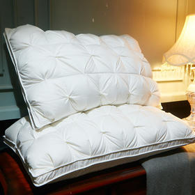 扭花工艺羽丝绒枕头枕芯 五星级酒店羽丝绒护颈枕枕头芯（48cm*74cm）