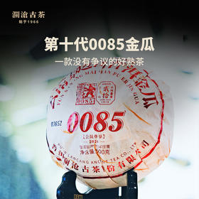 澜沧古茶2019年第十代景迈0085金瓜景迈古树普洱熟茶500g/个